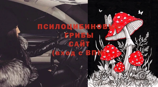 марки lsd Абаза
