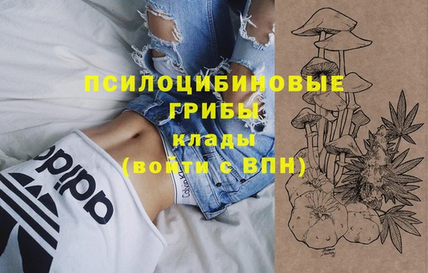 трава Абдулино