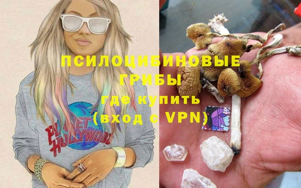 марки lsd Абаза