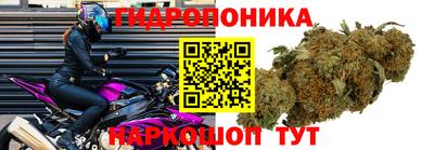 молекула духа Рязань