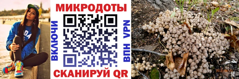 где купить   Партизанск  дарк нет какой сайт  Псилоцибиновые грибы Cubensis 