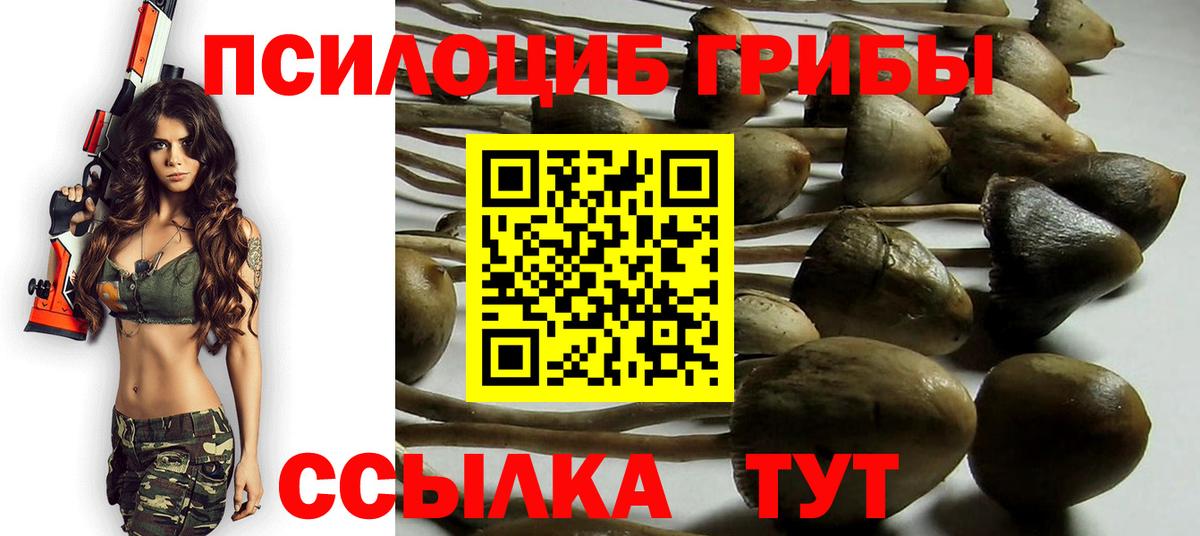 Псилоцибиновые грибы мухоморы  наркота  Вход с VPN  Партизанск  Псилоцибиновые грибы ЛСД 